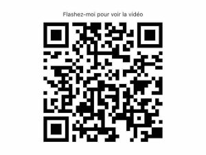 52860351  – Appartement – 3 pièces à SEYRESSE