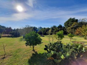 52721477  – Maison – 4 pièces à ST VINCENT DE TYROSSE