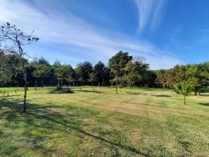 52721477  – Maison – 4 pièces à ST VINCENT DE TYROSSE