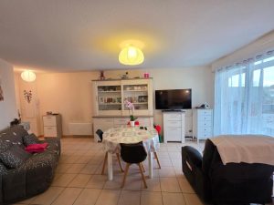 52805537  – Appartement – 3 pièces à ST PIERRE DU MONT