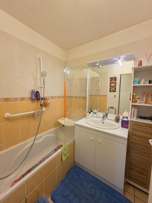 52805537  – Appartement – 3 pièces à ST PIERRE DU MONT