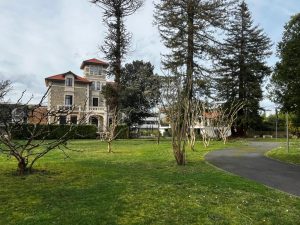 52910970  – Appartement – 3 pièces à DAX