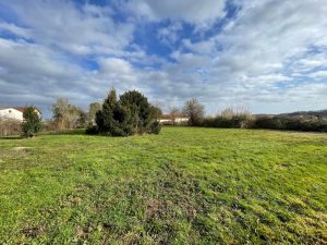 52880346  – Maison – 5 pièces à RISCLE