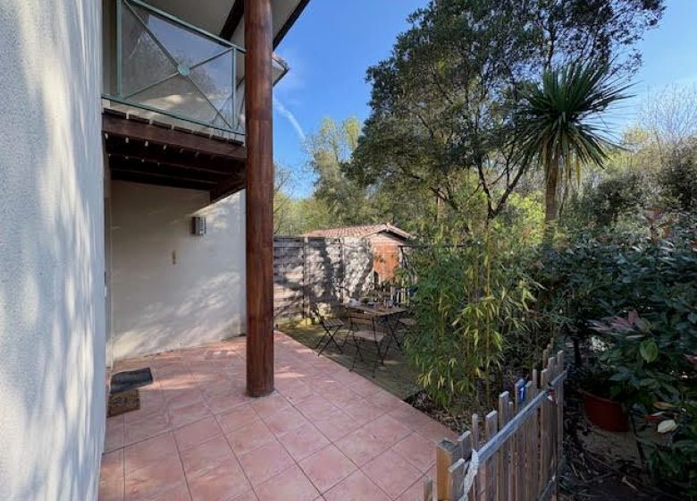 52840481  – Appartement – 3 pièces à LEON