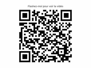 52840481  – Appartement – 3 pièces à LEON