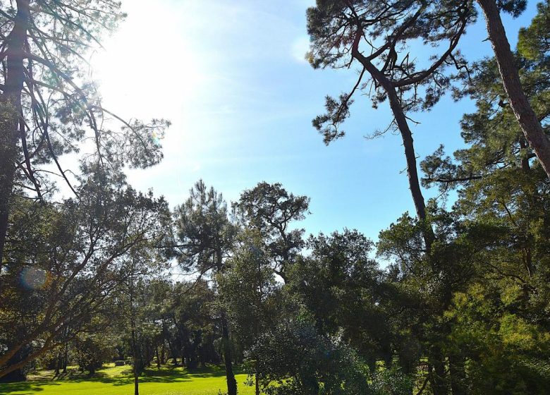 52103744  – Appartement – 5 pièces à SOORTS HOSSEGOR