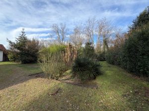 52923931  – Terrain à ST PAUL LES DAX