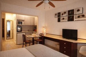 52944128  – Appartement – 1 pièces à DAX