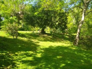 52685266  – Maison – 7 pièces à DAX