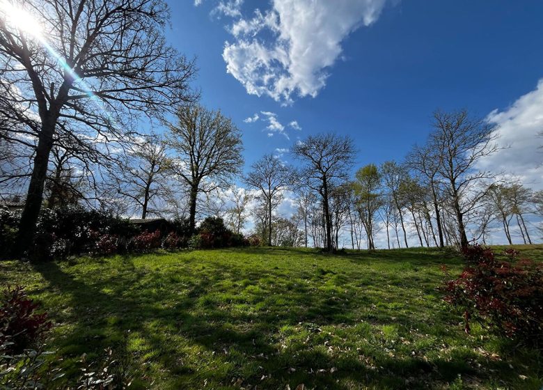 52486772  – Terrain à MAZEROLLES