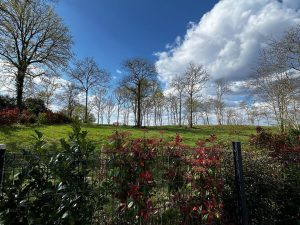 52486772  – Terrain à MAZEROLLES