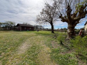 52295256  – Maison – 4 pièces à TARTAS