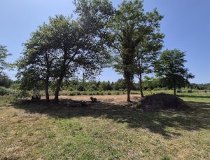 52471273  – Maison – 4 pièces à MORCENX