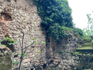 52549308  – Maison – 6 pièces à ROQUEFORT