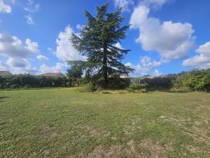 52700236  – Terrain à PARENTIS EN BORN