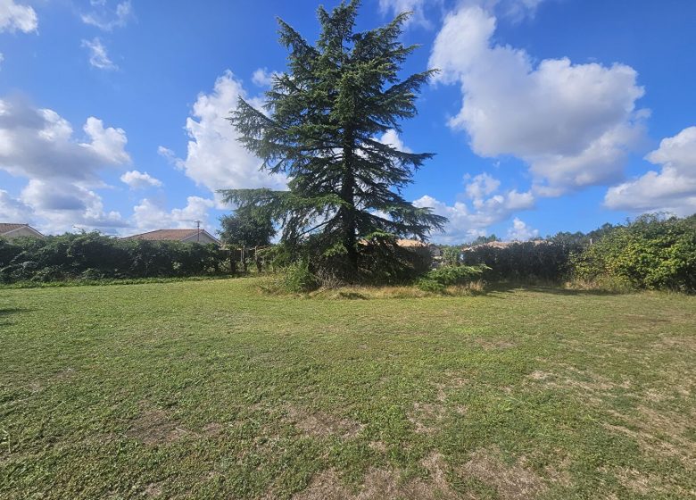 52705435  – Terrain à PARENTIS EN BORN