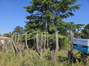 52705435  – Terrain à PARENTIS EN BORN