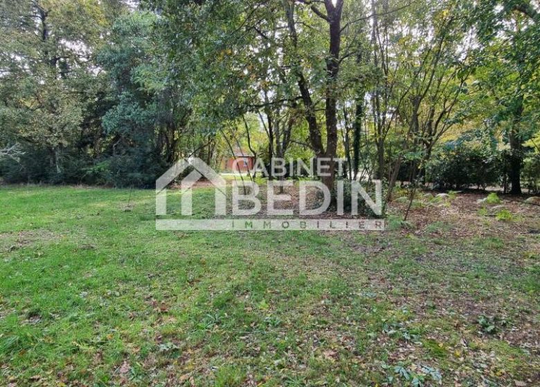 52233819  – Terrain à PARENTIS EN BORN