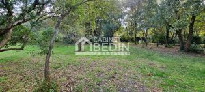 52233819  – Terrain à PARENTIS EN BORN