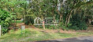 52233819  – Terrain à PARENTIS EN BORN