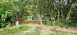 52233819  – Terrain à PARENTIS EN BORN