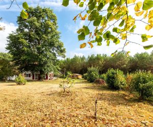 52665031  – Maison – 6 pièces à AIRE SUR L ADOUR