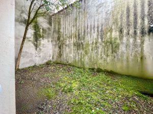 52963273  – Appartement – 2 pièces à MONT DE MARSAN