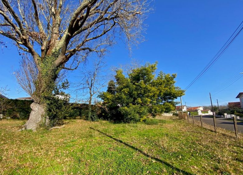 51804741  – Terrain à MONT DE MARSAN