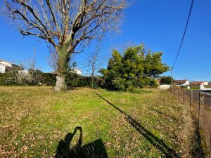 51804741  – Terrain à MONT DE MARSAN