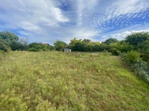 52220184  – Terrain à MONT DE MARSAN