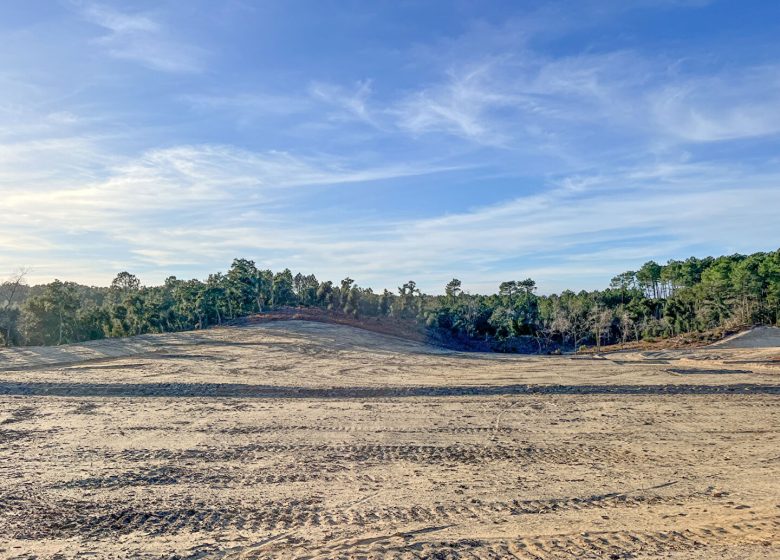 51964593  – Terrain à LABENNE