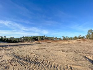 51964656  – Terrain à LABENNE