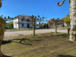 52797691  – Maison – 4 pièces à LALUQUE