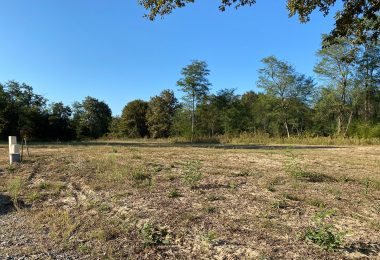 52890889  – Terrain à RION DES LANDES