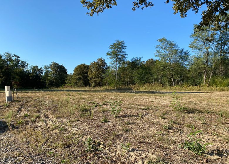 52890889  – Terrain à RION DES LANDES