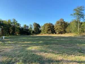 52890889  – Terrain à RION DES LANDES