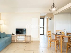 52830476  – Appartement – 2 pièces à MIMIZAN