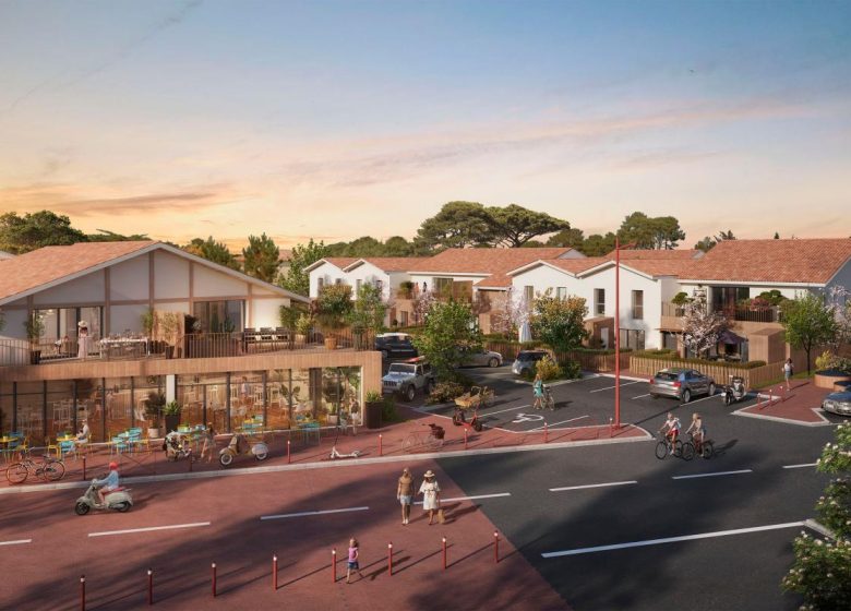 52879327  – Appartement – 2 pièces à MESSANGES