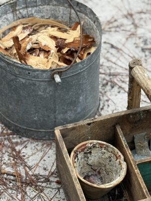 Les gemmeurs à l&rsquo;honneur à Marquèze