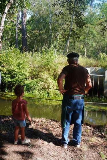 Faune et traditions à Marquèze
