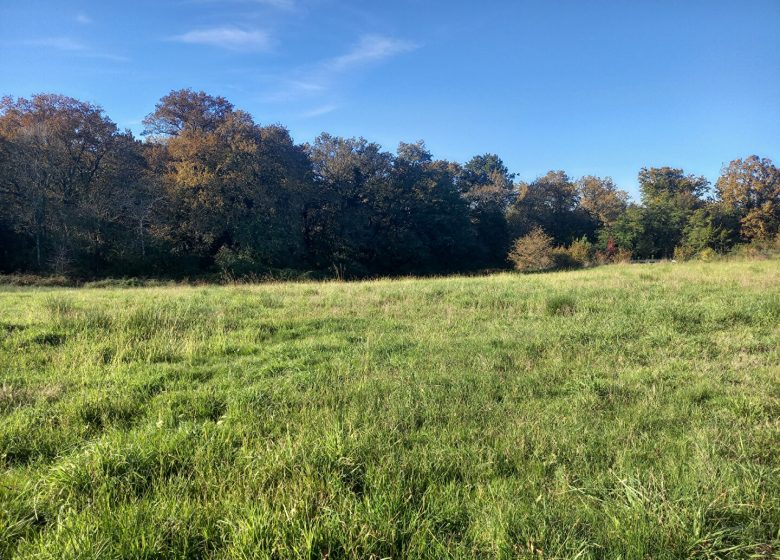 52273945  – Terrain à HAGETMAU