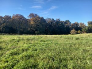 52273945  – Terrain à HAGETMAU