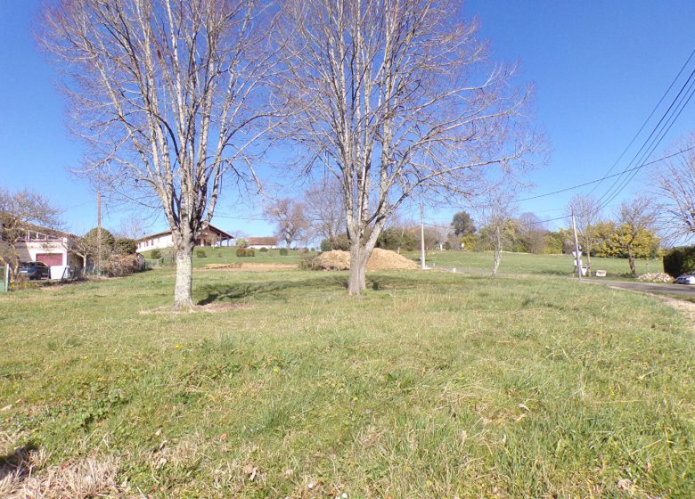 52844060  – Terrain à HAGETMAU