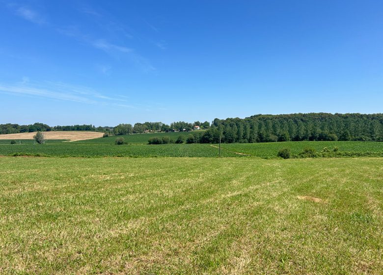 52718892  – Terrain à HAGETMAU