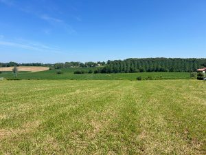 52718892  – Terrain à HAGETMAU