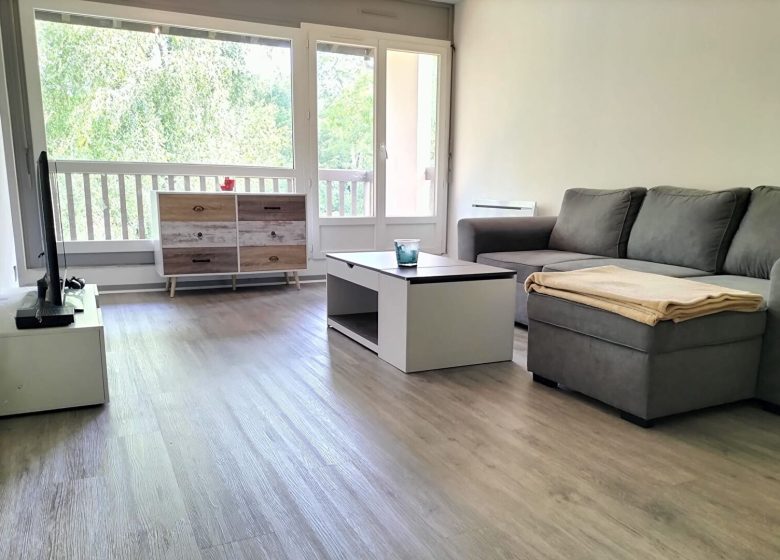 52584603  – Appartement – 2 pièces à MONT DE MARSAN