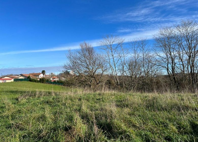 52009901  – Terrain à BELUS