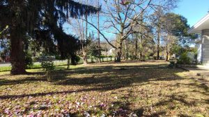 52615514  – Maison – 6 pièces à PEYREHORADE