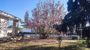 52615514  – Maison – 6 pièces à PEYREHORADE