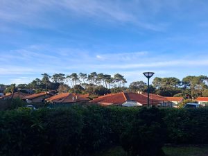 52893954  – Maison – 3 pièces à LABENNE